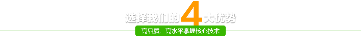 選擇我們的四大優(yōu)勢-高品質(zhì)、高水平掌握核心技術(shù)